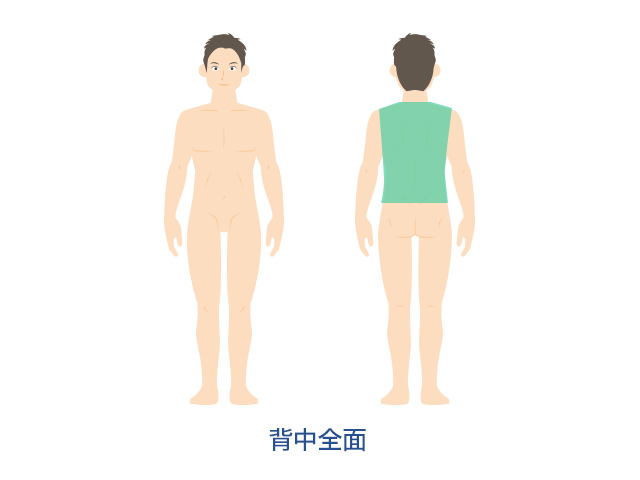 体~腕・足