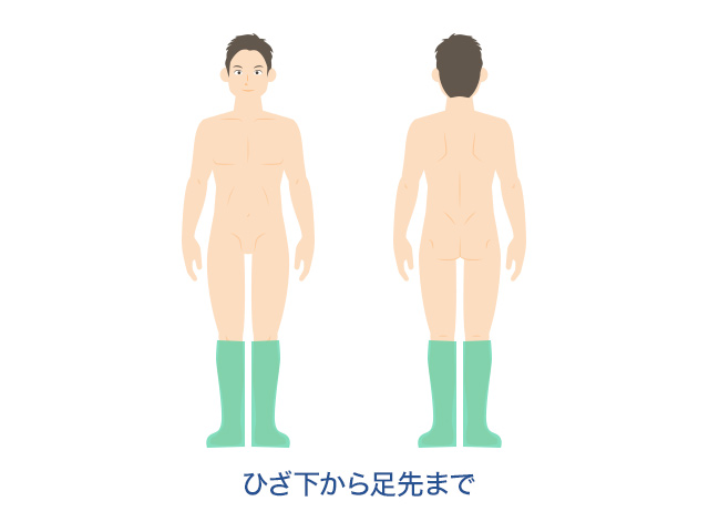 体~腕・足